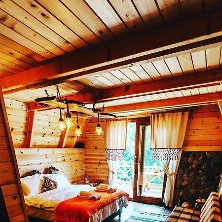 Purkinora Bungalov Çamlıhemşin Εξωτερικό φωτογραφία