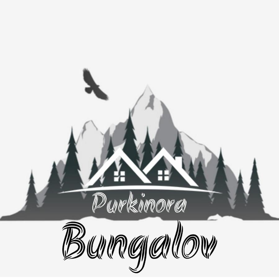 Purkinora Bungalov Çamlıhemşin Εξωτερικό φωτογραφία