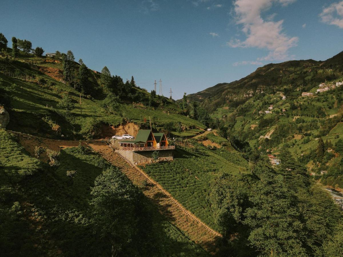 Purkinora Bungalov Çamlıhemşin Εξωτερικό φωτογραφία