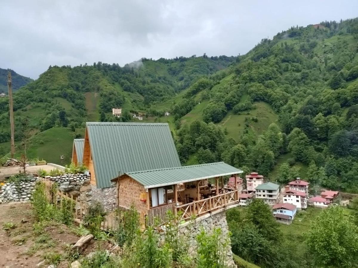 Purkinora Bungalov Çamlıhemşin Εξωτερικό φωτογραφία