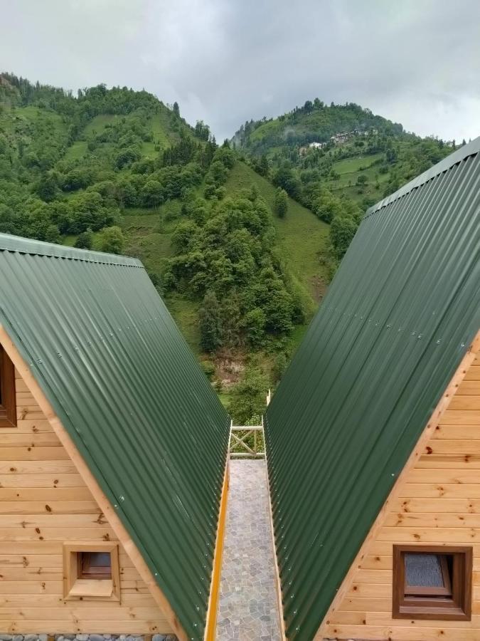 Purkinora Bungalov Çamlıhemşin Εξωτερικό φωτογραφία